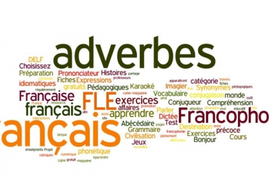 FRENCH LANGUAGE COURSES – non-beginners
