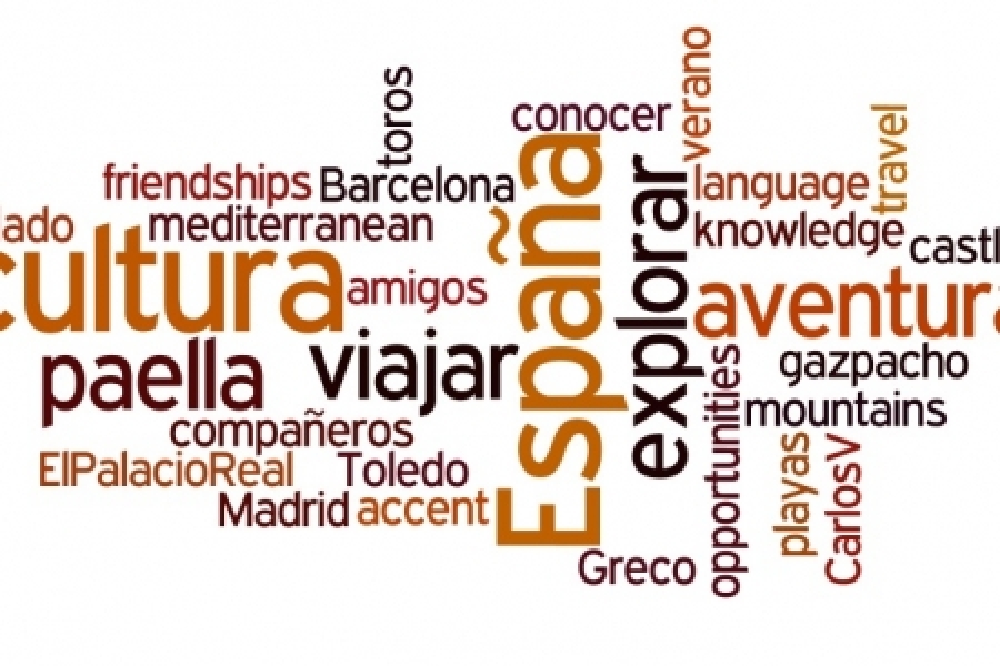 SPANISH LANGUAGE COURSES
